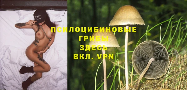 прущие крисы Алексеевка