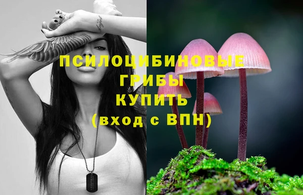гидропоника Алексин