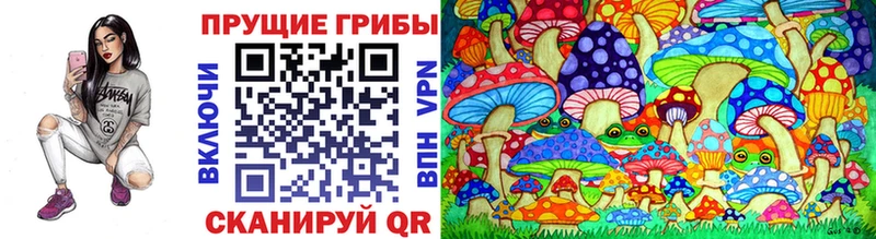 где продают наркотики Нюрба Галлюциногенные грибы ЛСД